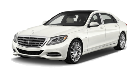 محمد رضا سلیمانی