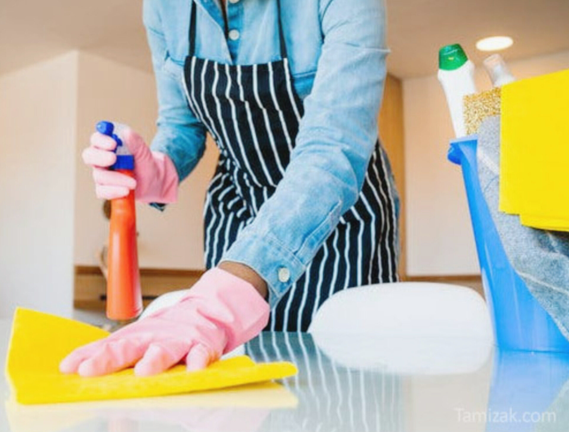 شرکت نظافتی در تهران