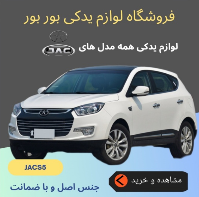 عباس شندواری بوربور