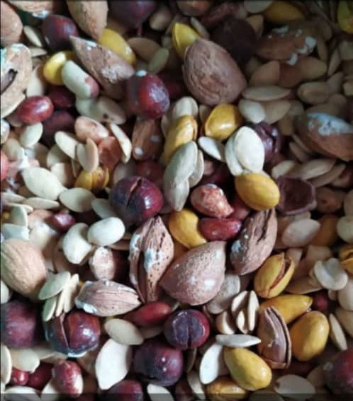 خرید و فروش عمده کالای مصطفوی