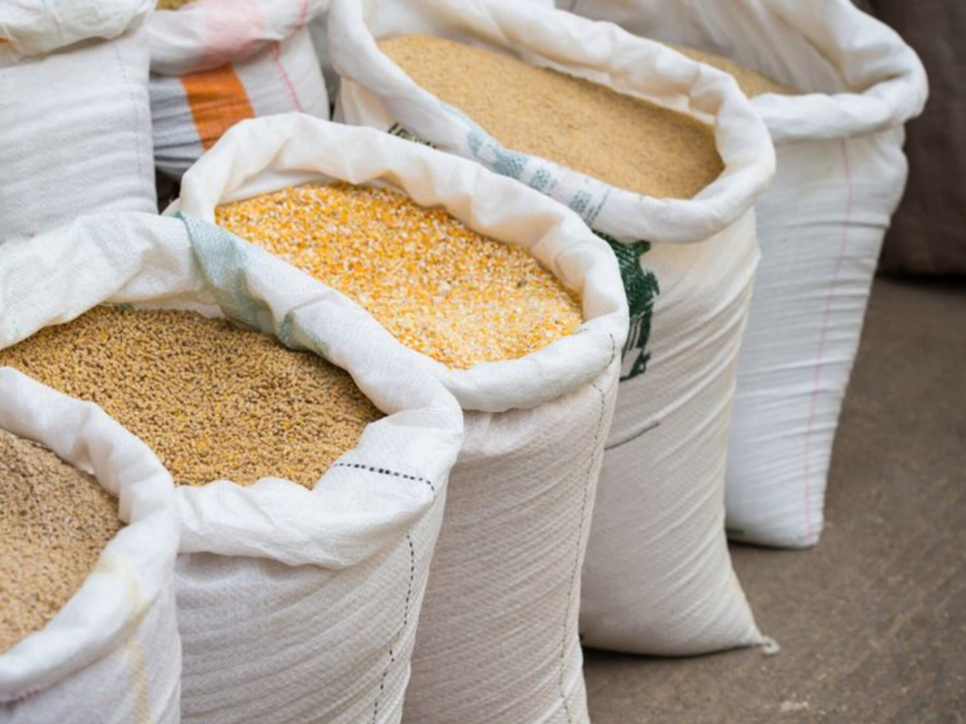 دانیال دهقانی