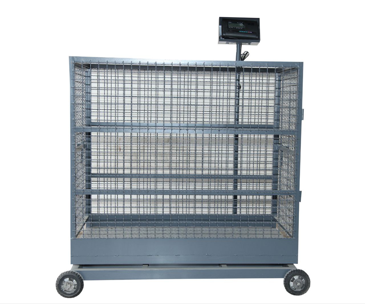 باسکول شیراز