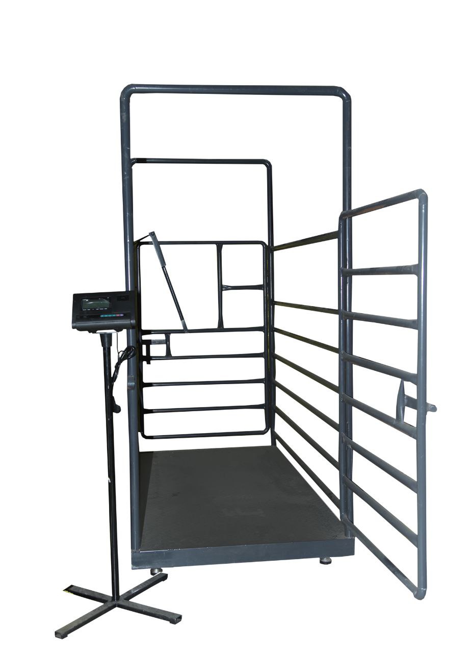 باسکول شیراز