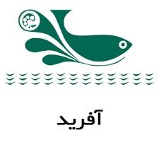 باربری بوشهر