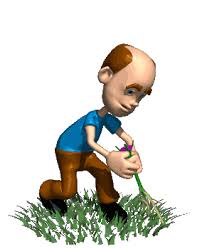 خرید ورمی کمپوست