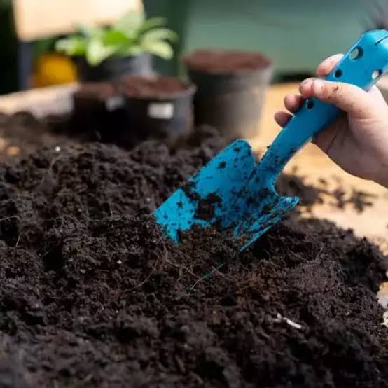 خرید ورمی کمپوست