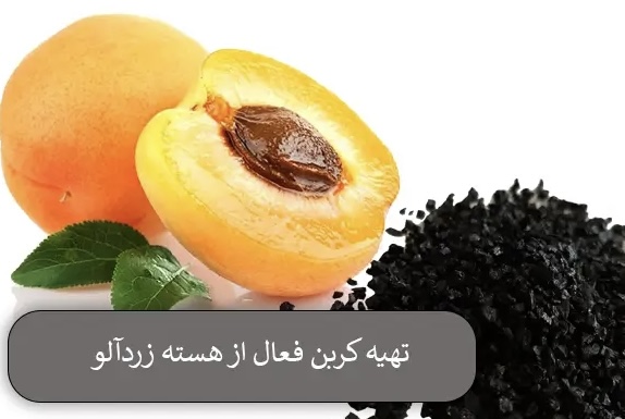 الكربون المنشط من نوى الفاكهة