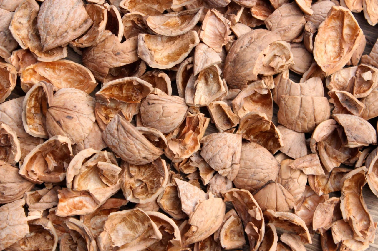 ACTIVATED CARBON MADE FROM WALNUT SHELLS