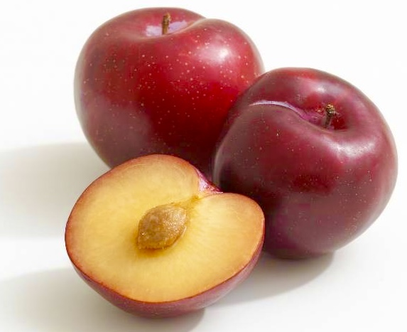 علی فردوسیان