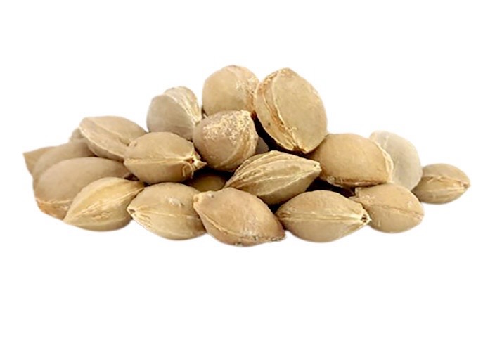 علی فردوسیان