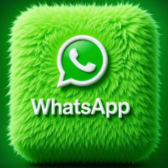 قالیشویی در بوشهر