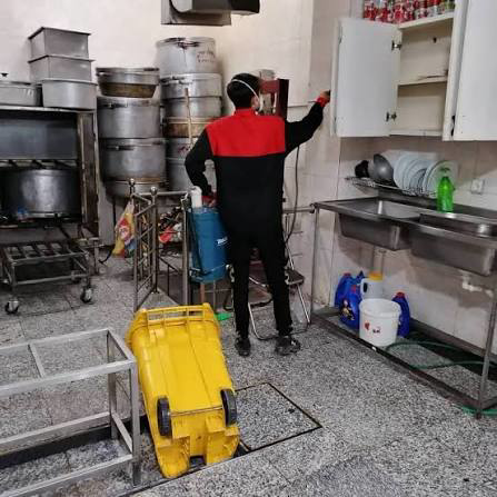 سمپاشی و کنترل حشرات