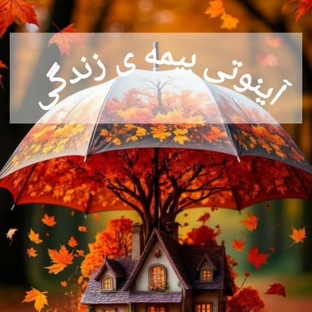 مهناز ذاکر