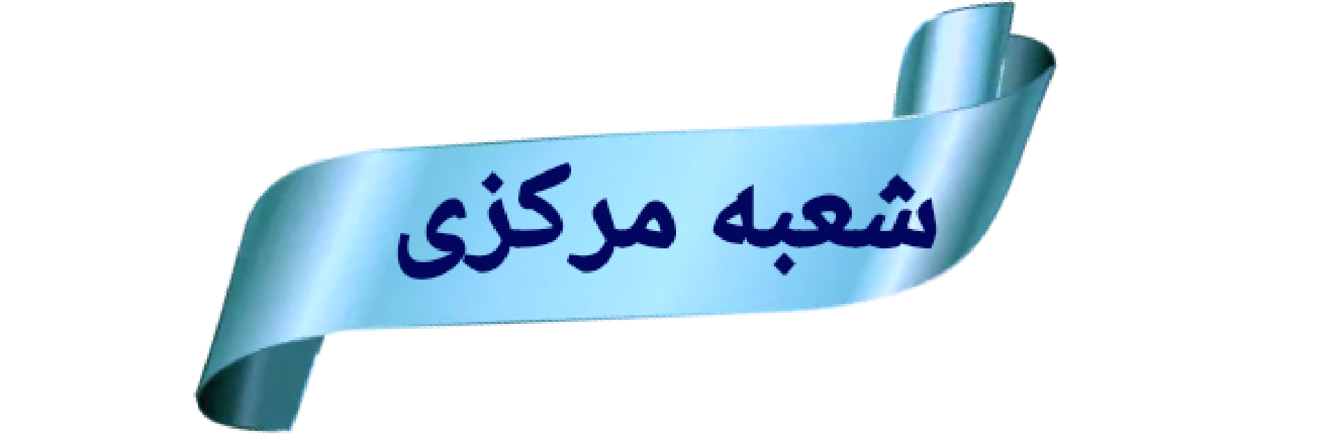 قالیشویی مهدی