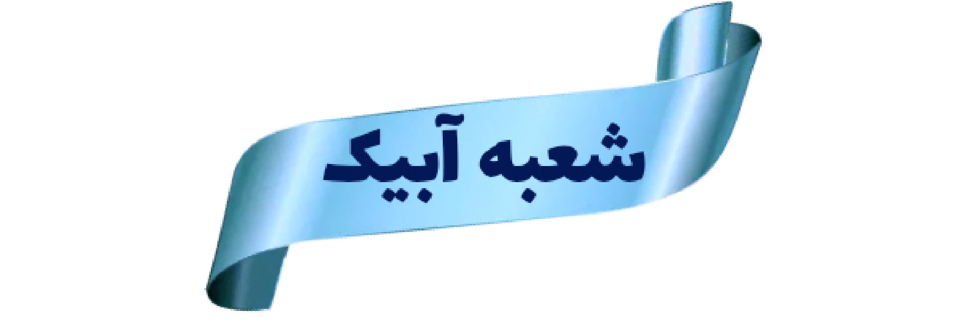 قالیشویی مهدی