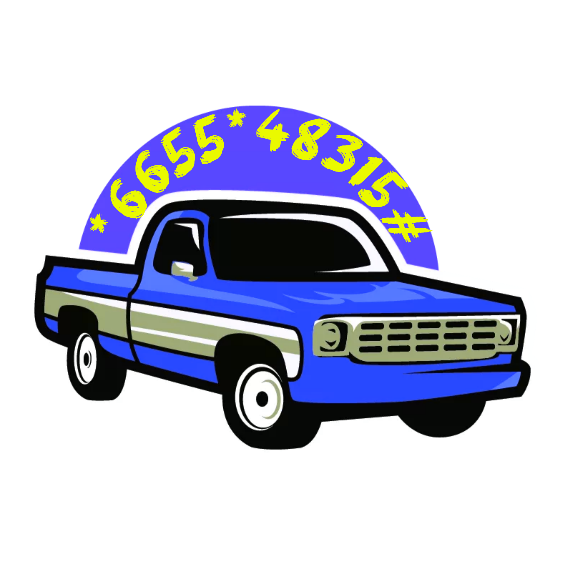 قالیشویی مهدی