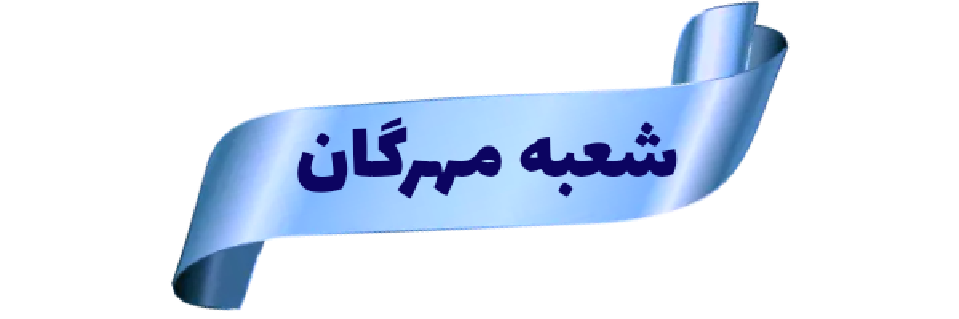 قالیشویی مهدی