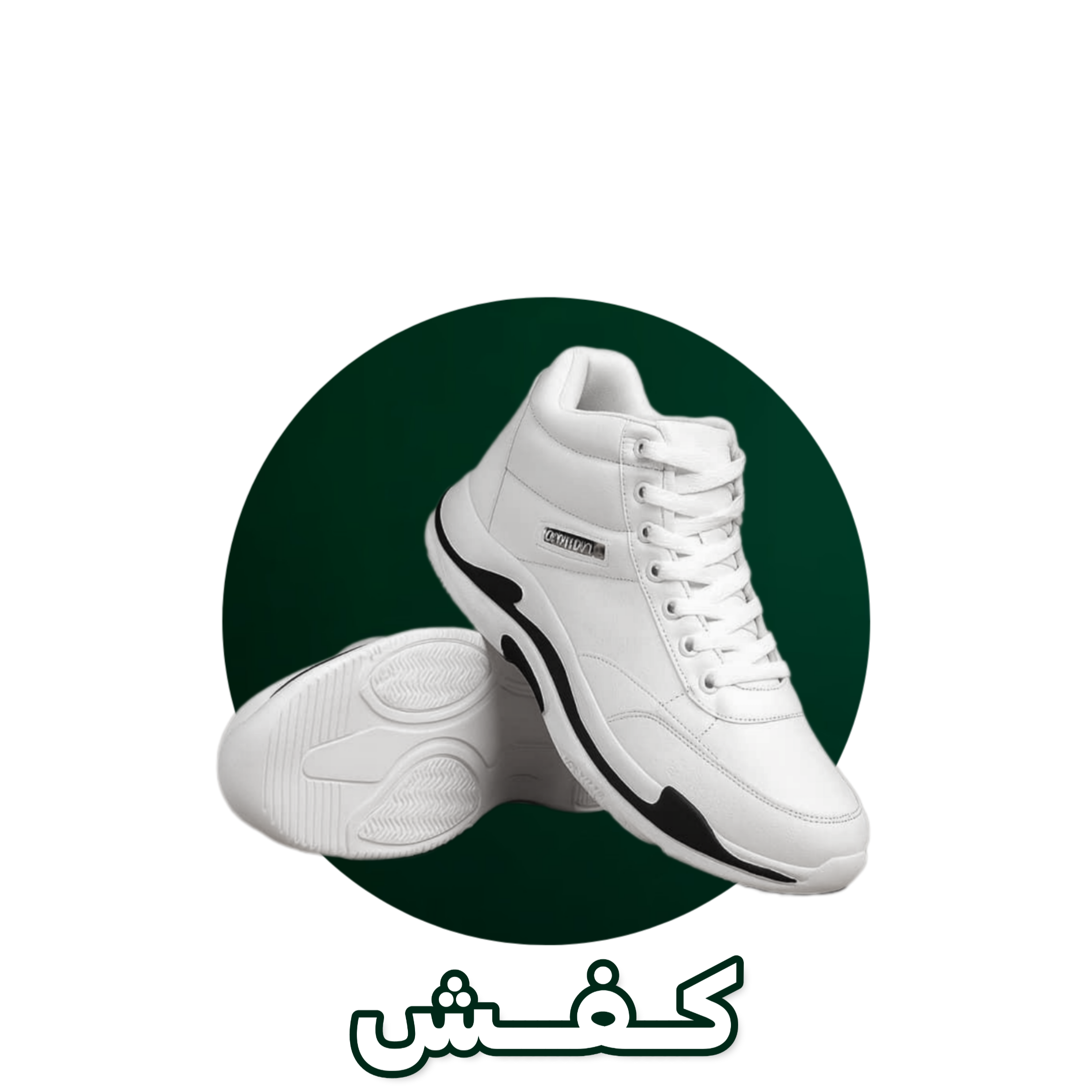 فاضل قربانی ابسردی