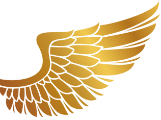 پشتیبانی تضمینی