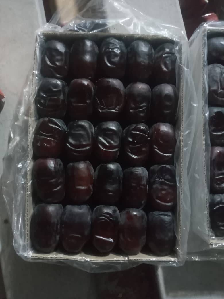 صادرات خرما