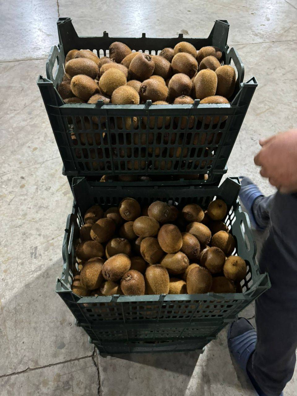 خدمات بازرگانی ترخیص کالا