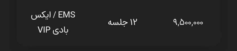 ems ایکس بادی