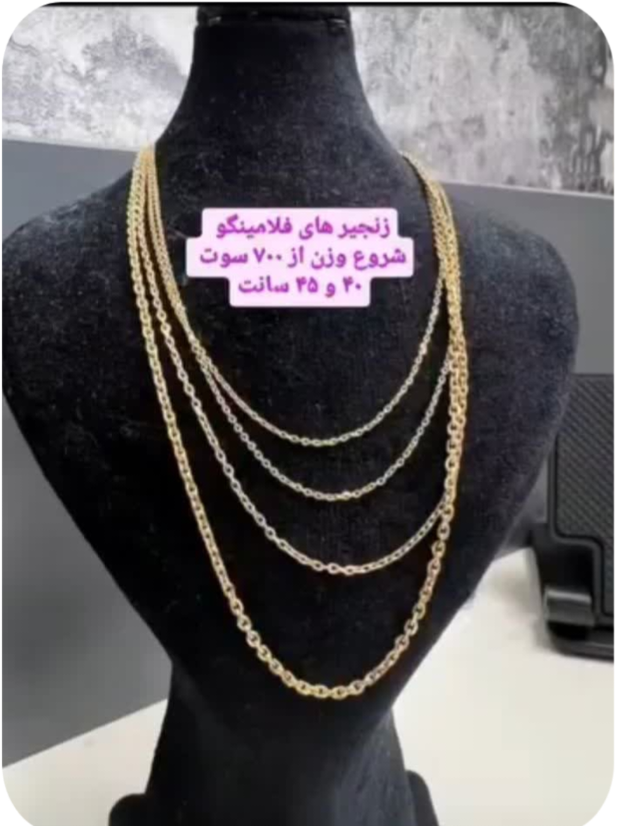 نرگس قانونی