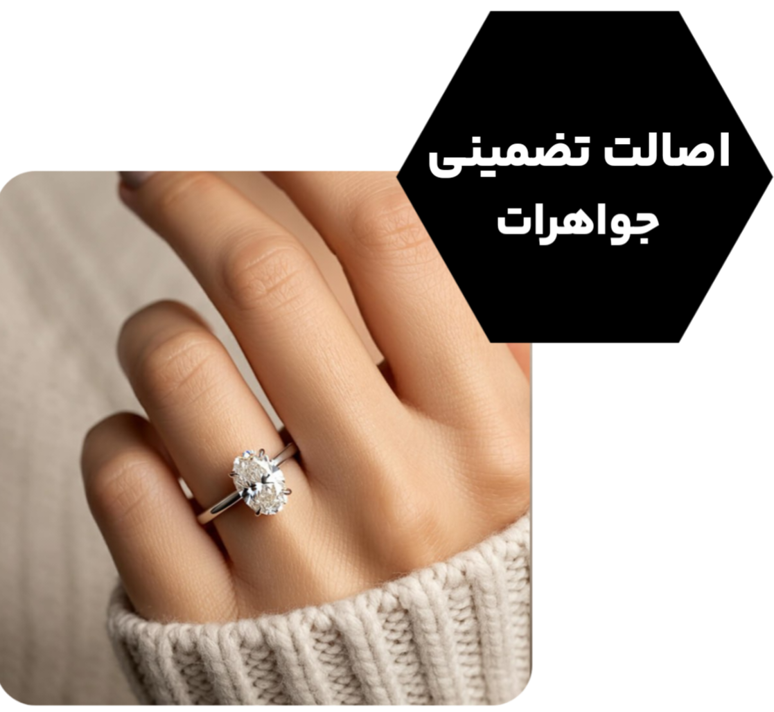 نرگس قانونی