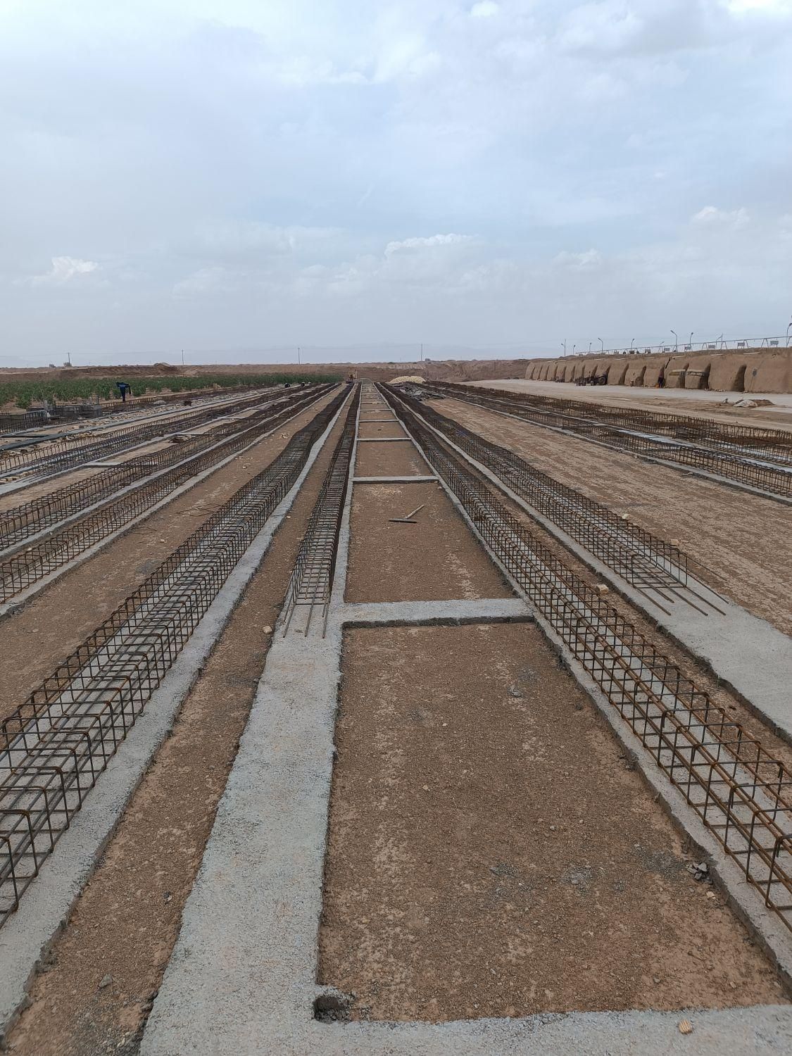 مجید قربانی