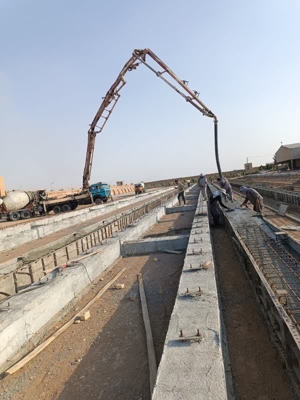 مجید قربانی