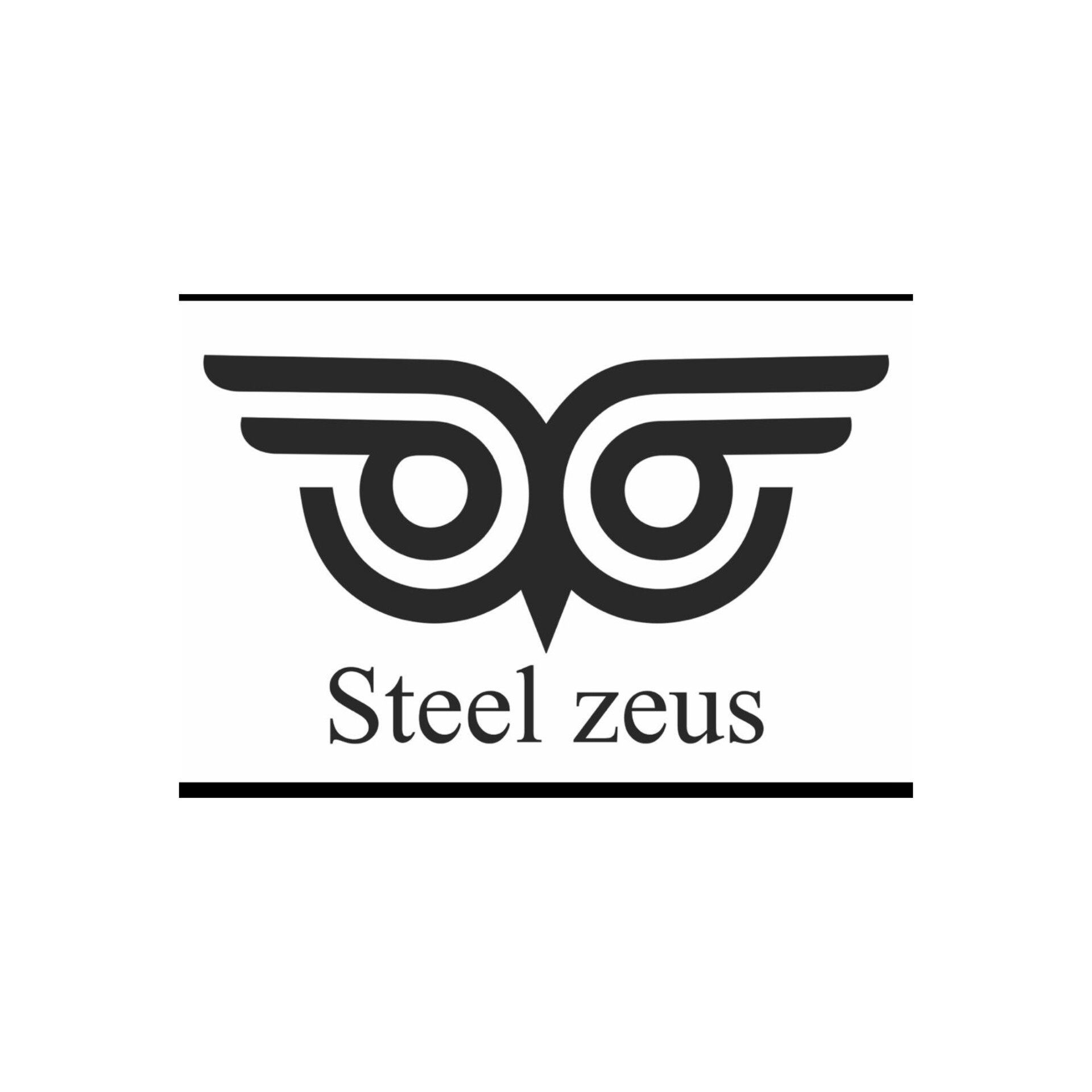 بیوگرافی استیل زئوس