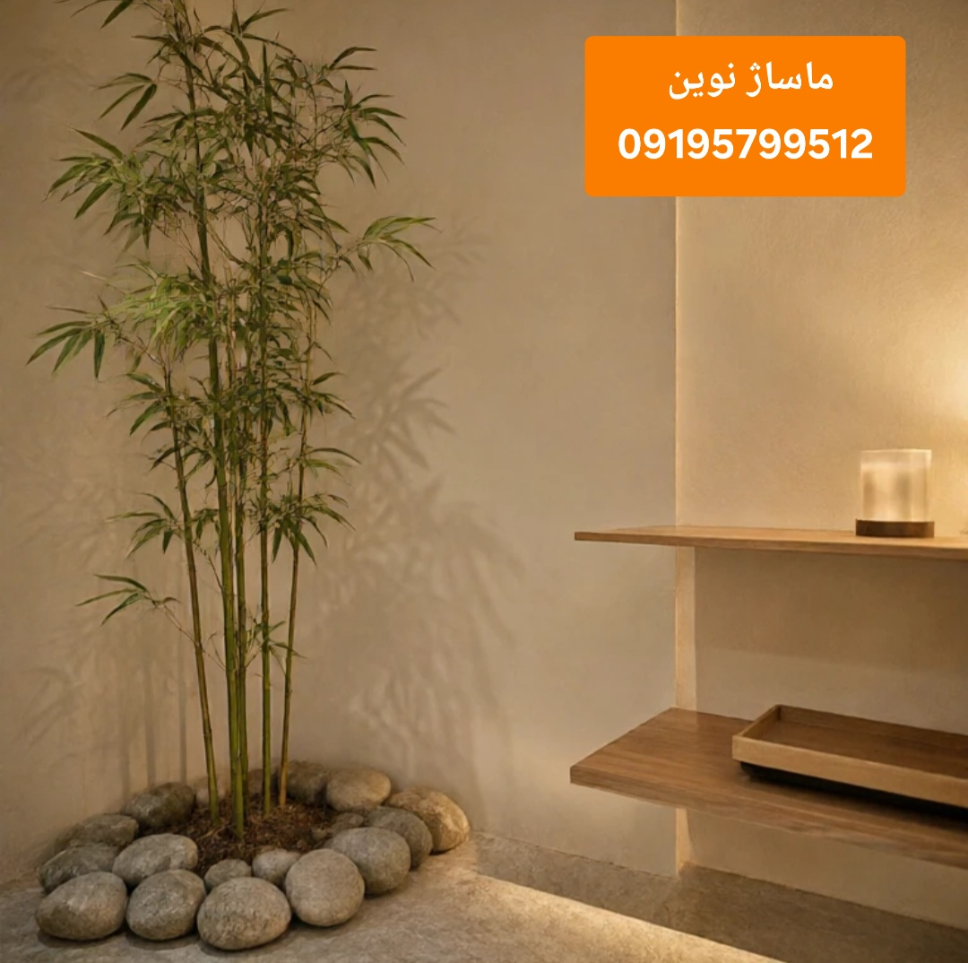 massage-north-tehran.jpg