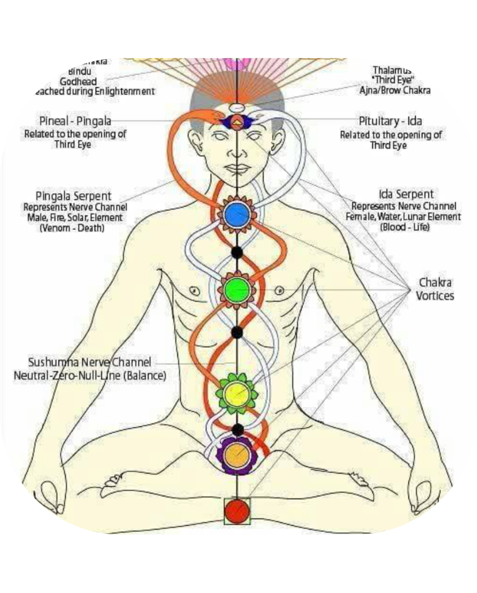 آموزش مدیتیشن و متافیزیک خانه کمال&nbsp;
