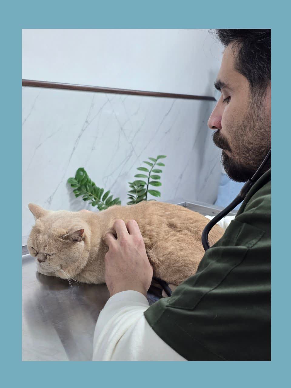 چکاب حیوانات خانگی اصفهان