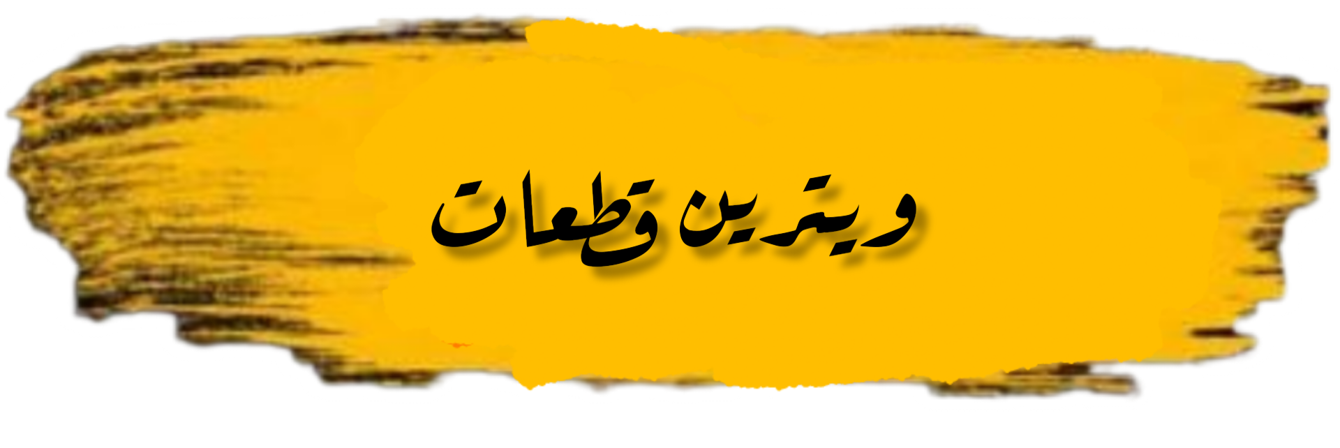 حسام الدین نصیری