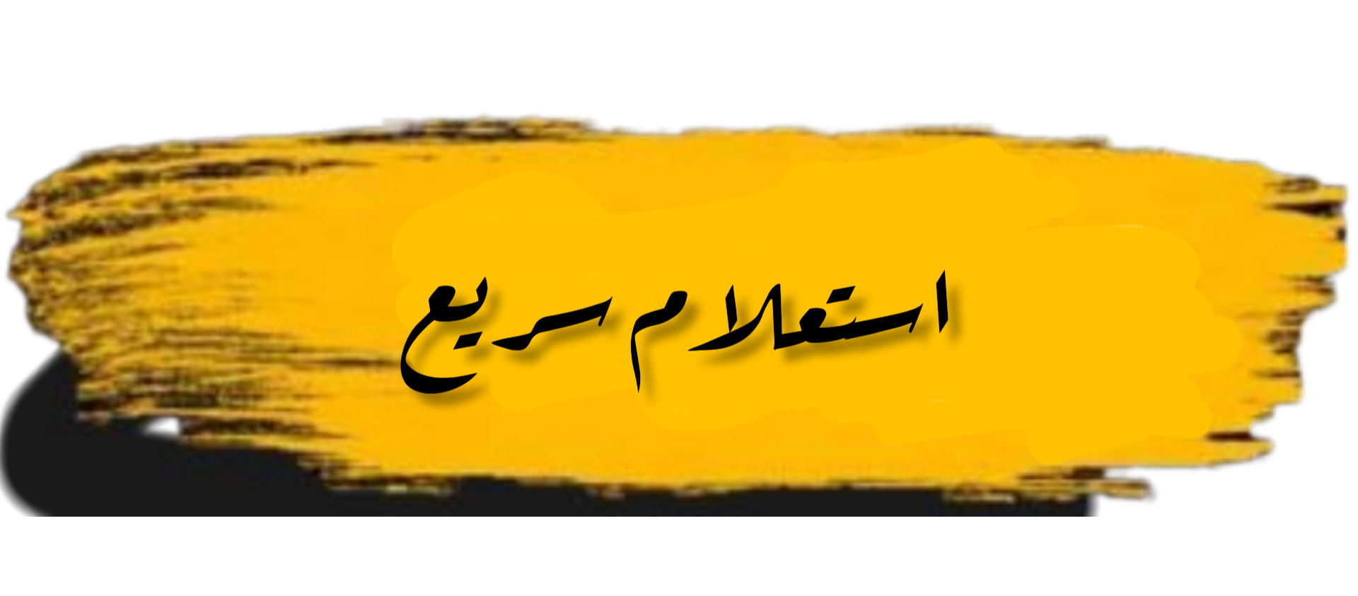 حسام الدین نصیری