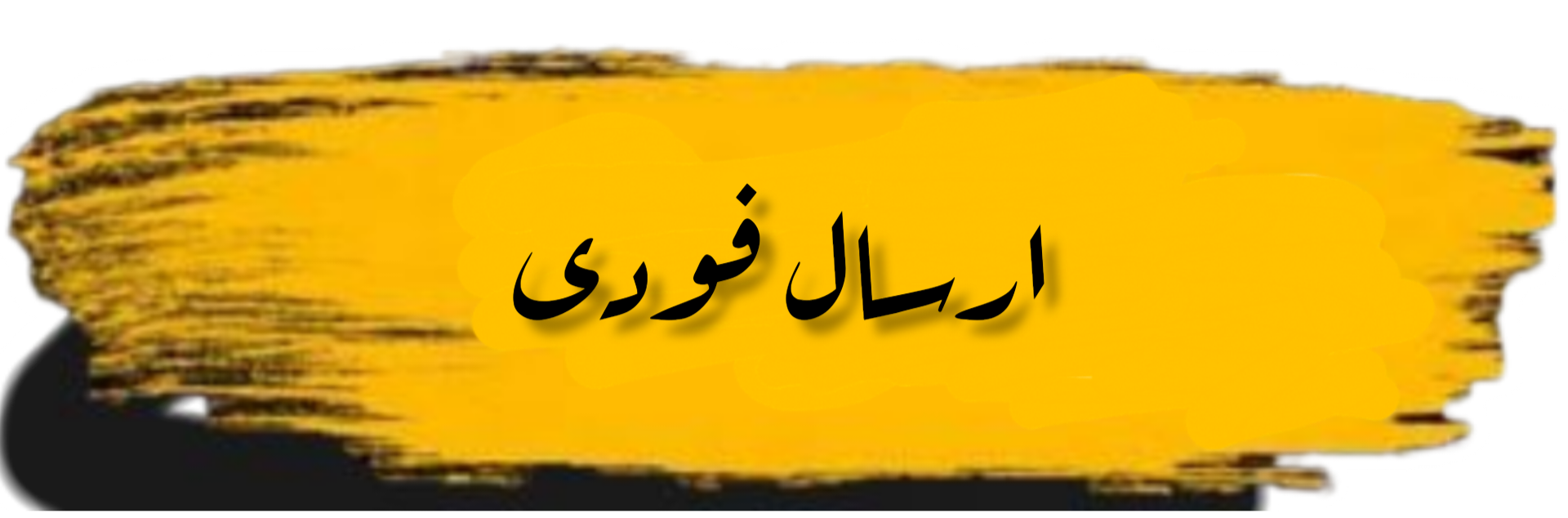 حسام الدین نصیری