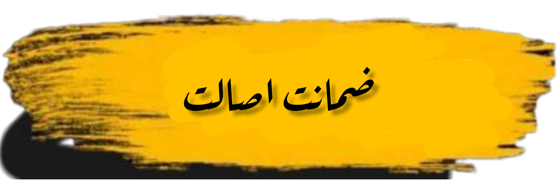حسام الدین نصیری