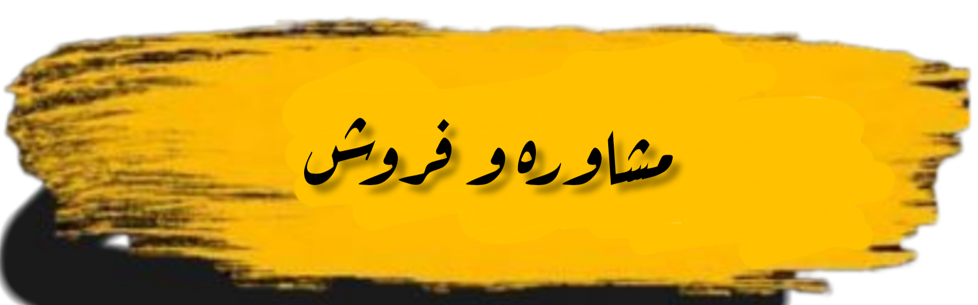 حسام الدین نصیری