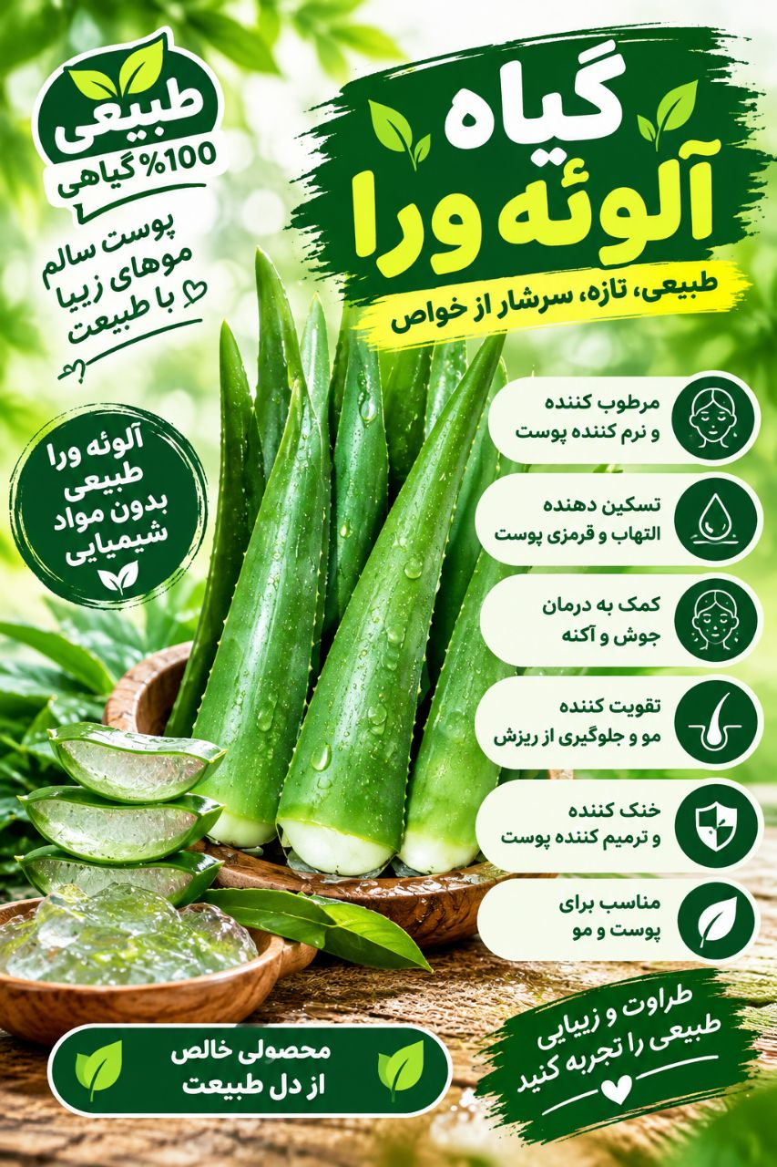 گیاه آلوئه ورا طبیعی تازه سرشار از خواص