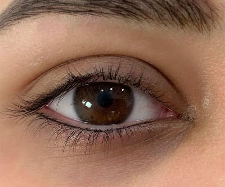 نمونه کار بن مژه پایین