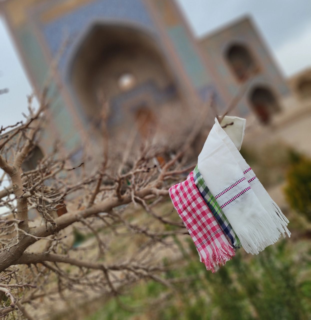 حوله طیبات