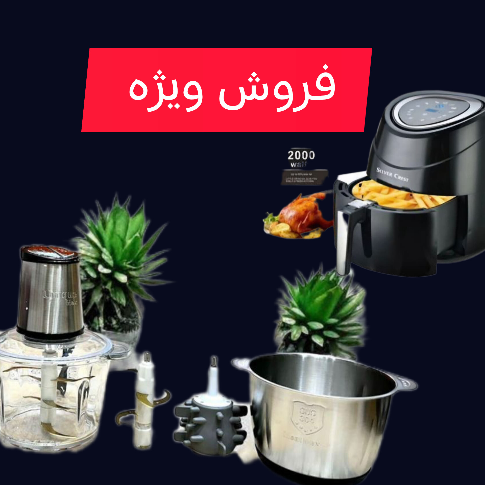 مریم مصطفوی فر