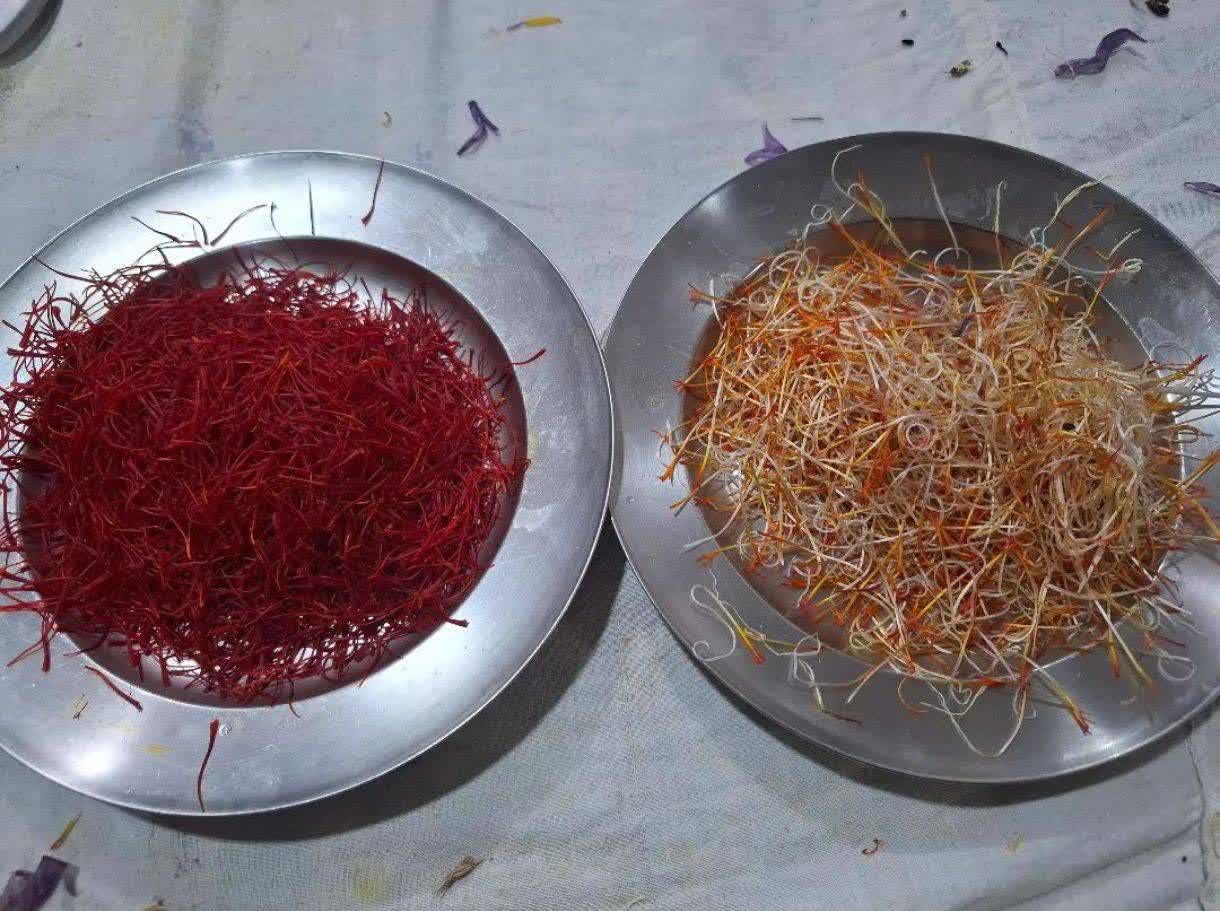 انواع زعفران ایرانی برای مصارف خانگی و تجاری