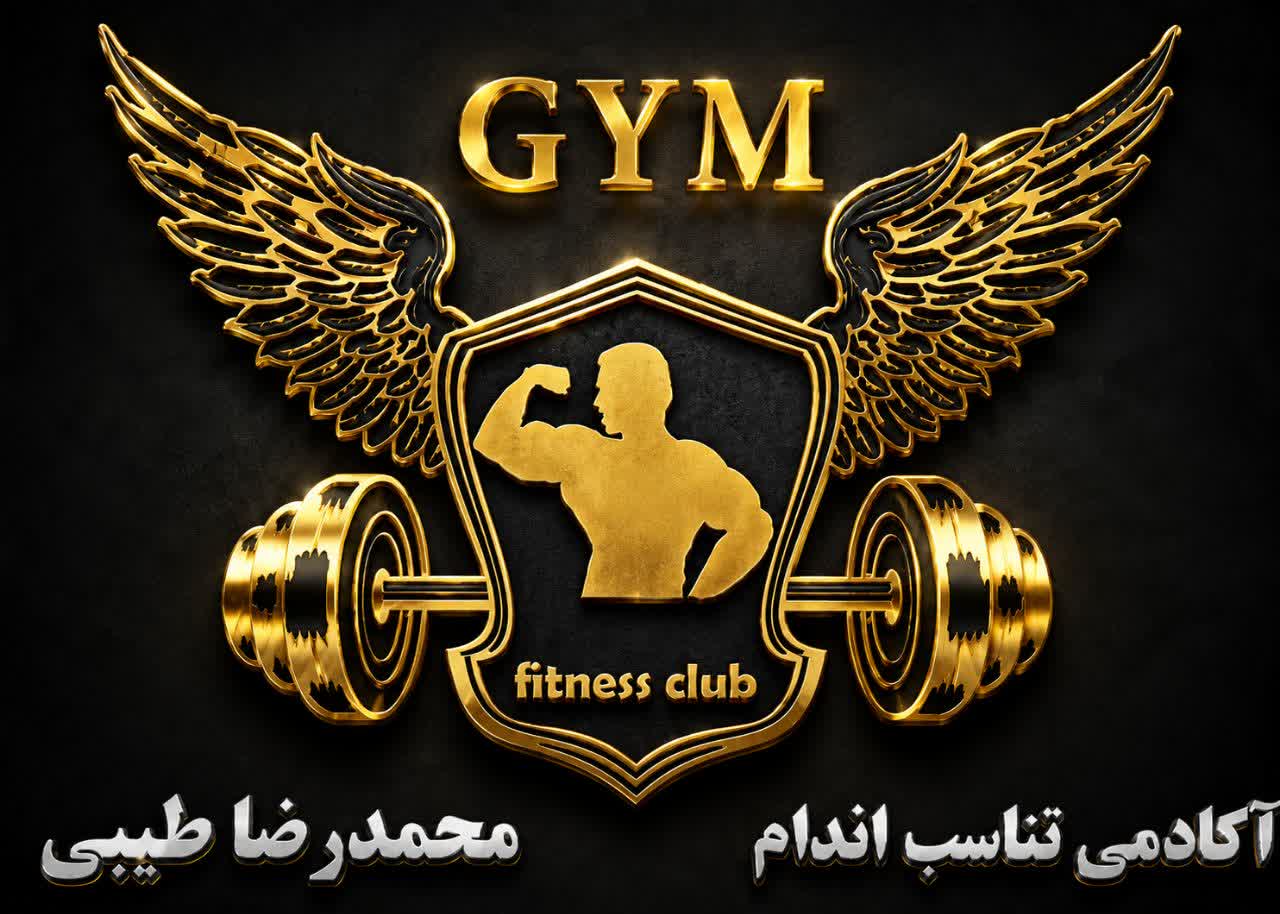 محمدرضا طیبی