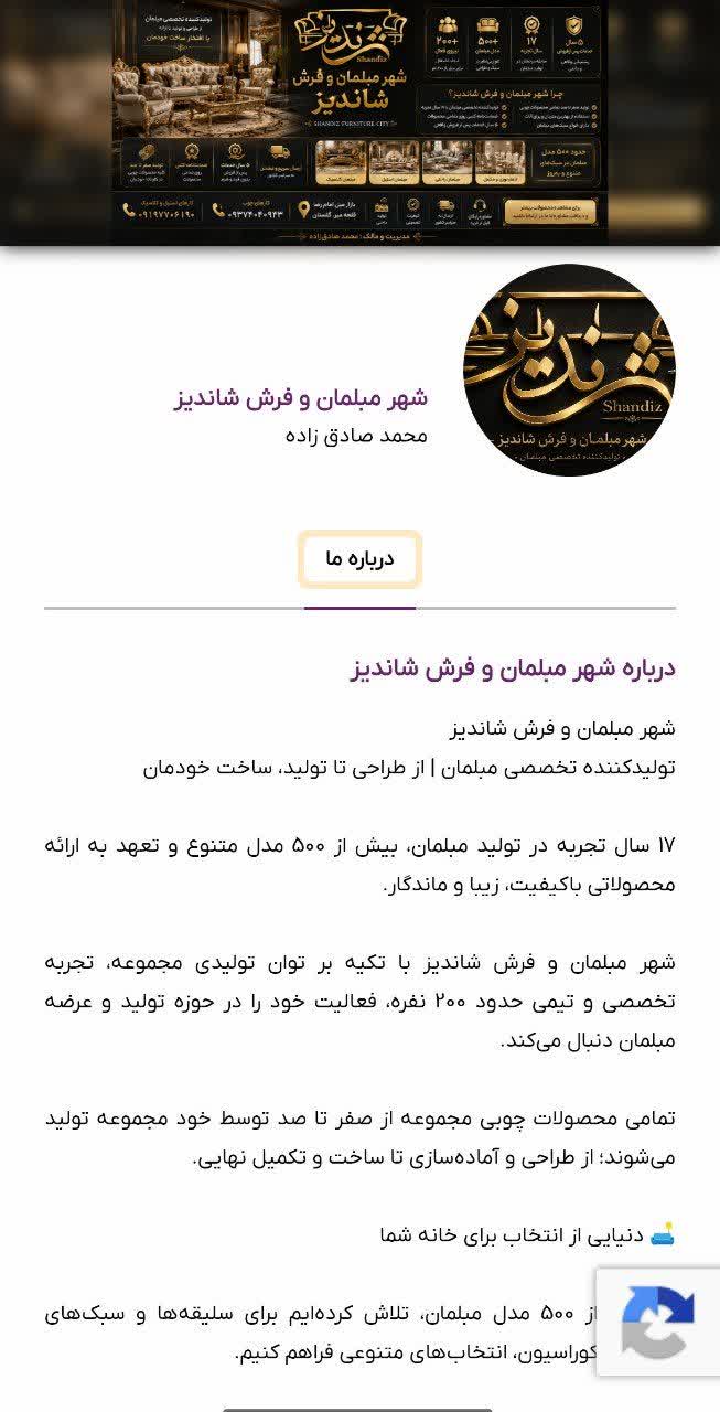 شهر مبلمان و فرش شاندیز، نمونه همکاری دیجیتال علیرضا آدینه