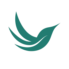 فروش اسانس رنگ طبیعی