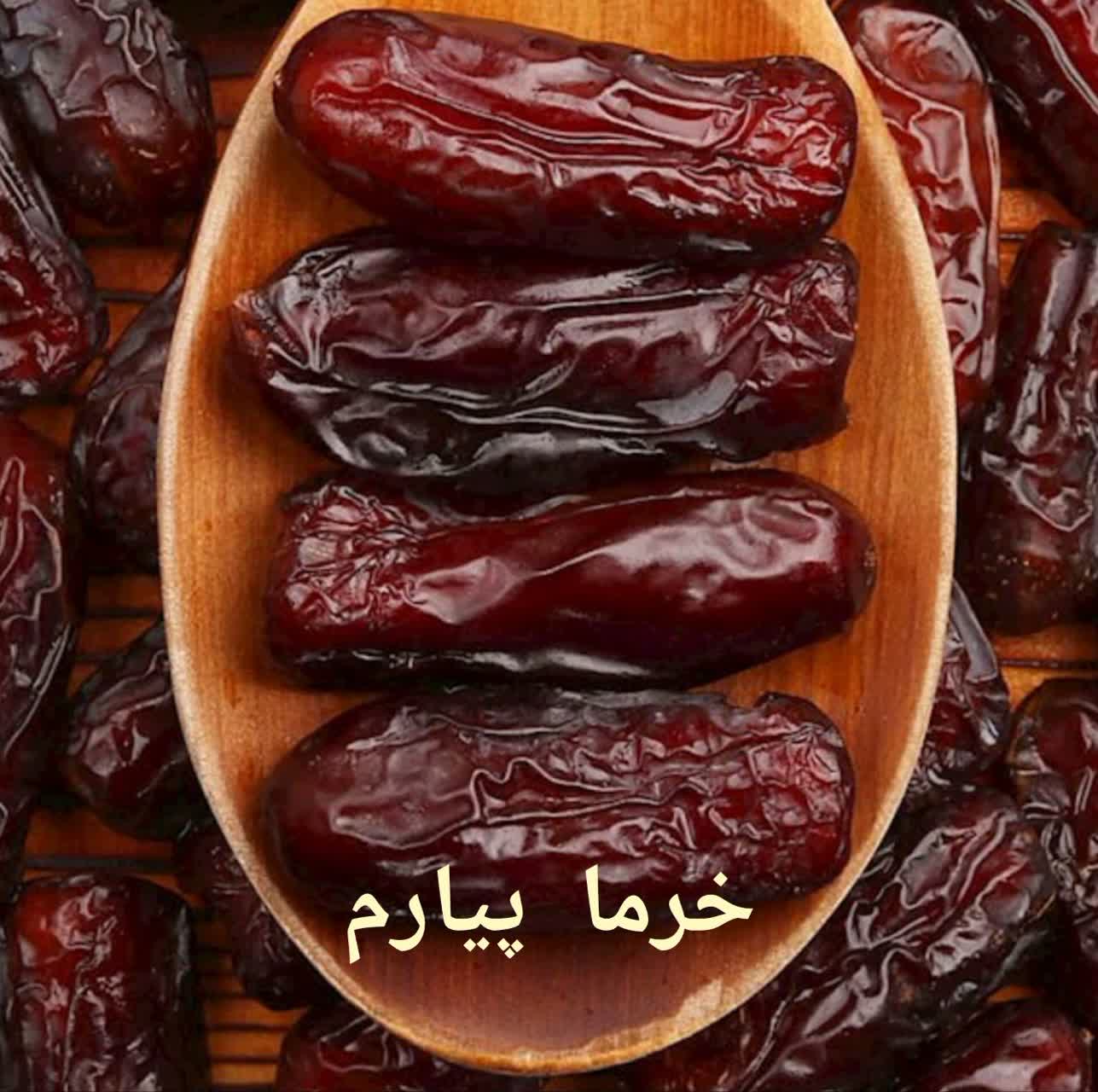 &nbsp;خرید وفروش عمده خرما