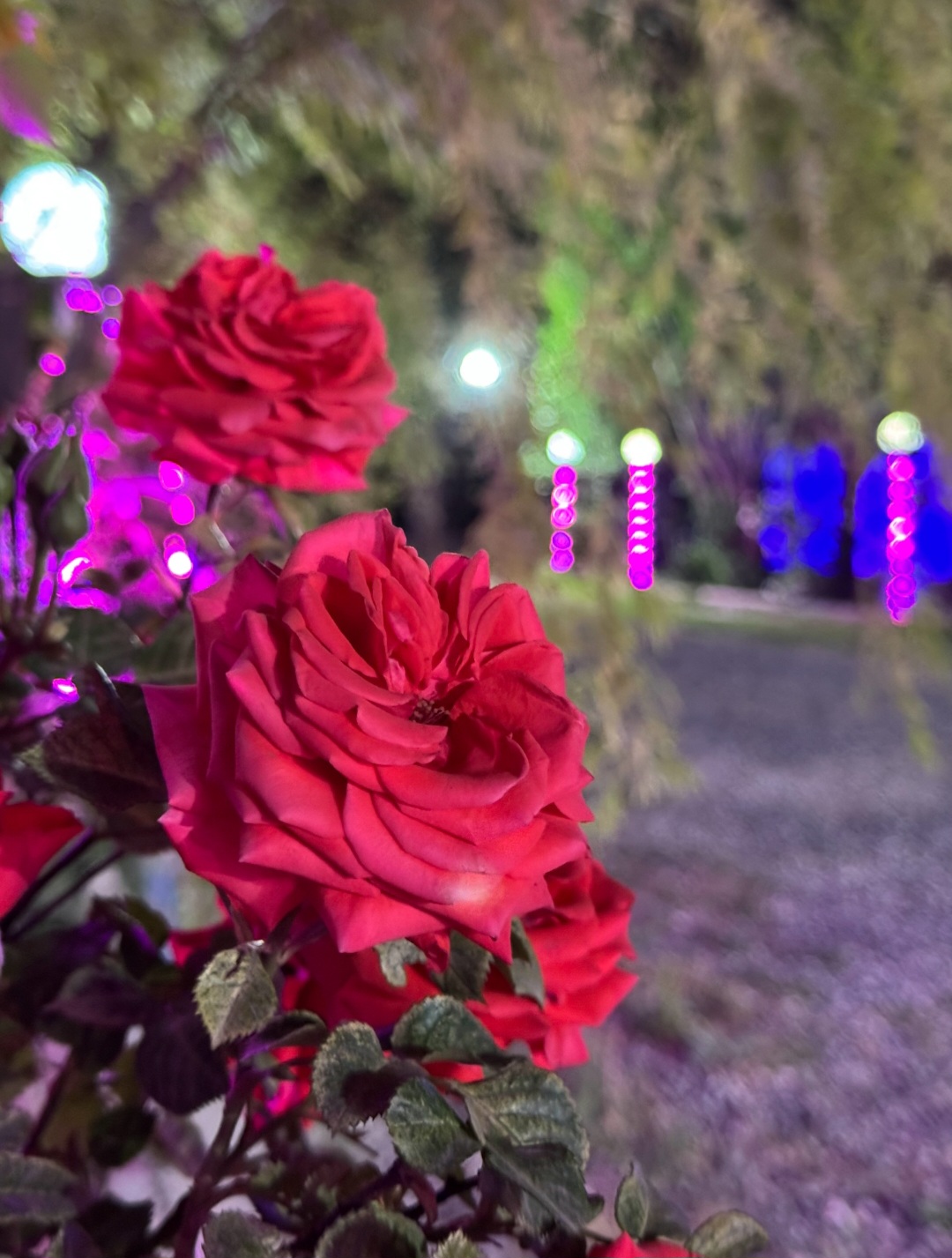سفره خانه سنتی در بروجرد