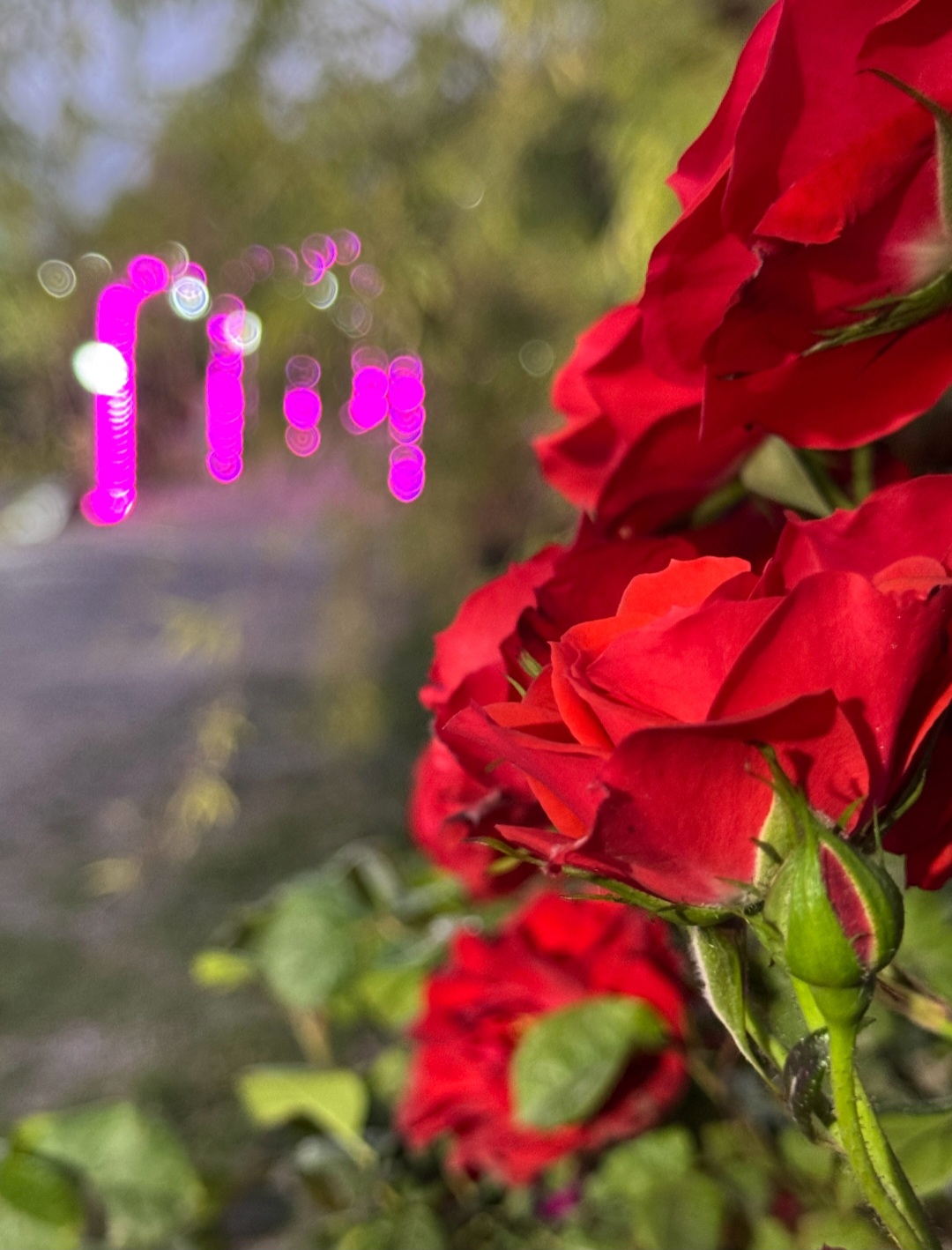 سفره خانه خوب در بروجرد